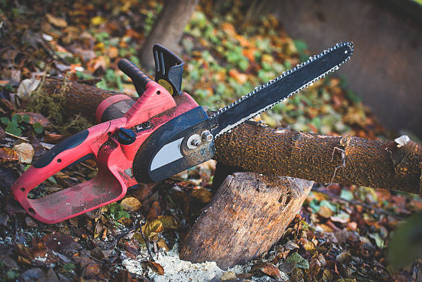 Best Lawn Renovation and Restoration  in Collinsburg, PA